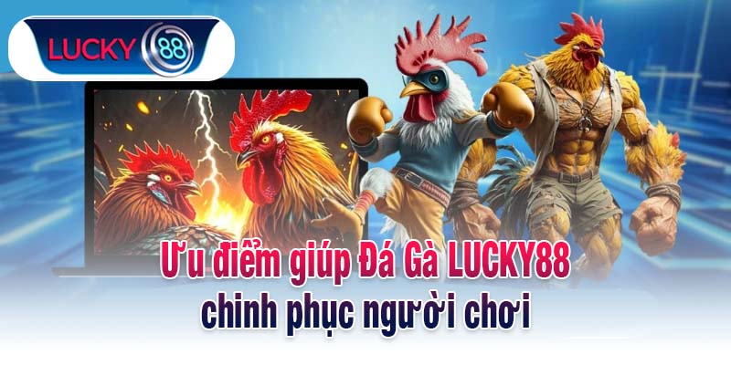 Ưu điểm giúp Đá Gà LUCKY88 chinh phục người chơi